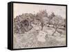 The Olive Trees-Vincent van Gogh-Framed Stretched Canvas