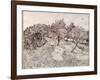 The Olive Trees-Vincent van Gogh-Framed Giclee Print