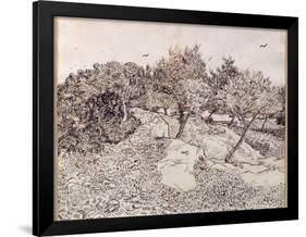 The Olive Trees-Vincent van Gogh-Framed Giclee Print