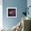 The Omega Nebula in Saggitarius-Robert Gendler-Giclee Print displayed on a wall