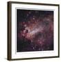 The Omega Nebula in Saggitarius-Robert Gendler-Framed Giclee Print