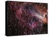 The Omega Nebula-Stocktrek Images-Stretched Canvas