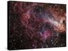 The Omega Nebula-Stocktrek Images-Stretched Canvas