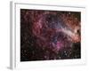 The Omega Nebula-Stocktrek Images-Framed Photographic Print