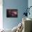 The Omega Nebula-Stocktrek Images-Mounted Photographic Print displayed on a wall