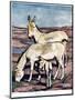 The Onager, from 'The New Natural History', by John Arthur Thompson (1861-1-Warwick Reynolds-Mounted Giclee Print