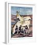 The Onager, from 'The New Natural History', by John Arthur Thompson (1861-1-Warwick Reynolds-Framed Giclee Print
