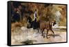 The One Horse Carraige-Henri de Toulouse-Lautrec-Framed Stretched Canvas