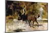 The One Horse Carraige-Henri de Toulouse-Lautrec-Mounted Premium Giclee Print