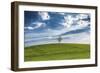 The One-Giuseppe Torre-Framed Photographic Print