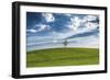 The One-Giuseppe Torre-Framed Photographic Print