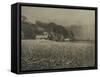 The Onion Field-George Davison-Framed Stretched Canvas