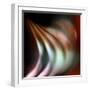 The Onion-Ursula Abresch-Framed Photographic Print