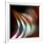 The Onion-Ursula Abresch-Framed Photographic Print