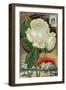 The Only White Ever-Blooming Hardy Climbing Rose-null-Framed Art Print