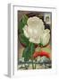 The Only White Ever-Blooming Hardy Climbing Rose-null-Framed Art Print