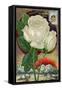 The Only White Ever-Blooming Hardy Climbing Rose-null-Framed Stretched Canvas