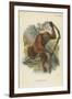 The Orang-Utan-null-Framed Giclee Print