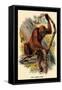 The Orang-Utan-G.r. Waterhouse-Framed Stretched Canvas