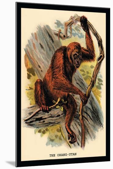 The Orang-Utan-G.r. Waterhouse-Mounted Art Print