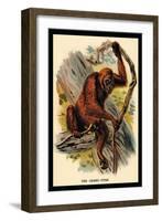The Orang-Utan-G.r. Waterhouse-Framed Art Print