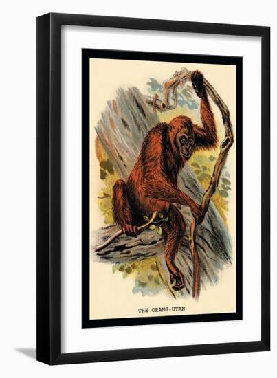 The Orang-Utan-G.r. Waterhouse-Framed Art Print