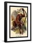 The Orang-Utan-G.r. Waterhouse-Framed Art Print