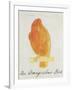 The Orange Colour Bird, from "Sixteen Drawings of Comic Birds"-Edward Lear-Framed Giclee Print