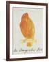 The Orange Colour Bird, from "Sixteen Drawings of Comic Birds"-Edward Lear-Framed Giclee Print