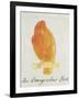 The Orange Colour Bird, from "Sixteen Drawings of Comic Birds"-Edward Lear-Framed Giclee Print