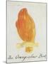 The Orange Colour Bird, from "Sixteen Drawings of Comic Birds"-Edward Lear-Mounted Giclee Print