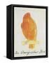 The Orange Colour Bird, from "Sixteen Drawings of Comic Birds"-Edward Lear-Framed Stretched Canvas