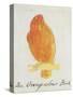 The Orange Colour Bird, from "Sixteen Drawings of Comic Birds"-Edward Lear-Stretched Canvas