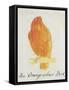 The Orange Colour Bird, from "Sixteen Drawings of Comic Birds"-Edward Lear-Framed Stretched Canvas