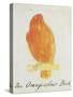 The Orange Colour Bird, from "Sixteen Drawings of Comic Birds"-Edward Lear-Stretched Canvas