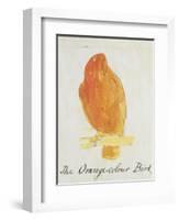 The Orange Colour Bird, from "Sixteen Drawings of Comic Birds"-Edward Lear-Framed Premium Giclee Print