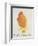 The Orange Colour Bird, from "Sixteen Drawings of Comic Birds"-Edward Lear-Framed Premium Giclee Print