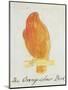 The Orange Colour Bird, from "Sixteen Drawings of Comic Birds"-Edward Lear-Mounted Premium Giclee Print