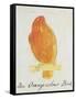 The Orange Colour Bird, from "Sixteen Drawings of Comic Birds"-Edward Lear-Framed Stretched Canvas