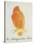 The Orange Colour Bird, from "Sixteen Drawings of Comic Birds"-Edward Lear-Stretched Canvas