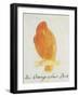 The Orange Colour Bird, from "Sixteen Drawings of Comic Birds"-Edward Lear-Framed Giclee Print