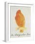 The Orange Colour Bird, from "Sixteen Drawings of Comic Birds"-Edward Lear-Framed Giclee Print