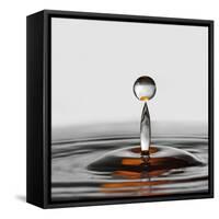 The Orange Drop-Heidi Westum-Framed Stretched Canvas