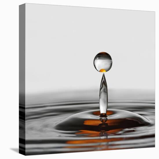 The Orange Drop-Heidi Westum-Stretched Canvas