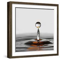 The Orange Drop-Heidi Westum-Framed Photographic Print