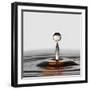 The Orange Drop-Heidi Westum-Framed Photographic Print