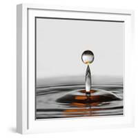 The Orange Drop-Heidi Westum-Framed Photographic Print