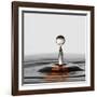 The Orange Drop-Heidi Westum-Framed Photographic Print