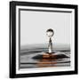 The Orange Drop-Heidi Westum-Framed Photographic Print