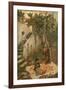 The Orange Gatherers-John William Waterhouse-Framed Giclee Print